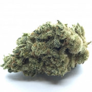 Fleurs CBD Premium Suisse | Indoor LED | Goldbar420