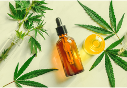 Cannabidiol : Quels sont les effets du CBD ?